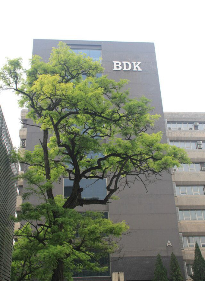 1501507756575420.jpg 01.jpg