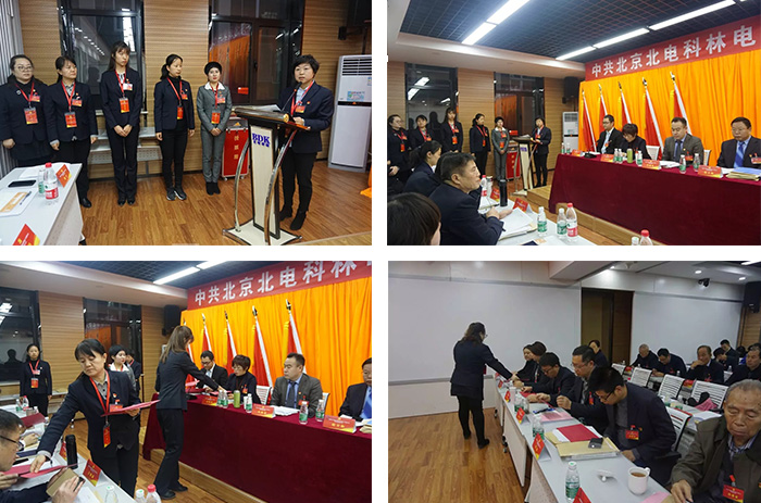 1546165576109817.jpg 8.jpg