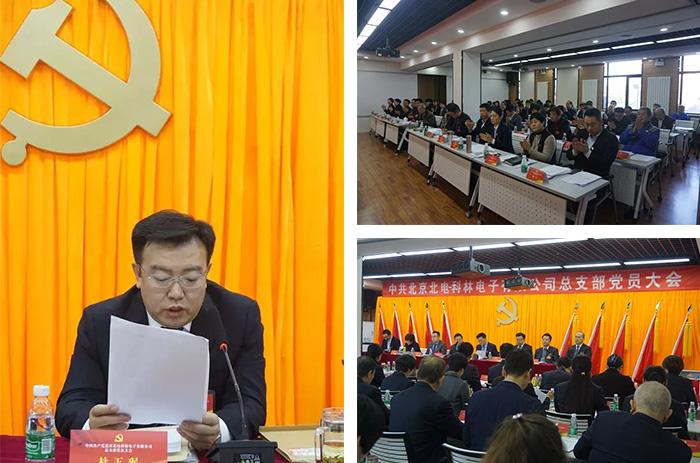 1546165689108758.jpg 10.jpg