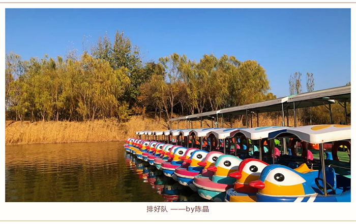 1614052127787352.png 【健步走】美美哒摄影作品已出炉,欢迎围观!_03.png