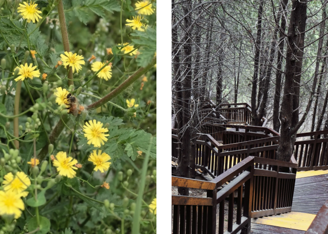 1720666085625682.png 6.png