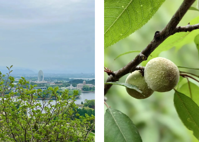 1720666094837613.png 7.png