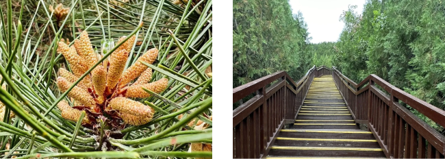 1720666127417279.png 10.png